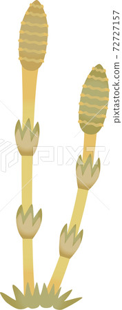 筑紫水彩風格 72727157