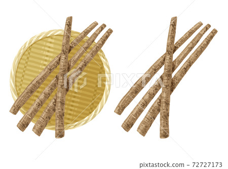 Burdock illustration 72727173
