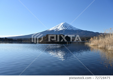 Mt. Fuji in the midwinter Frozen Lake Kawaguchi, an oasis of wild birds Mt. Fuji in the midwinter Frozen Lake Kawaguchi, an oasis of wild birds 72728475