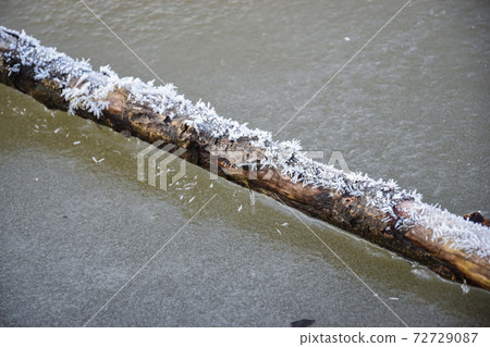 Selective focus shot of a wooden plank stuck in the ice and covered with snowflakes 72729087