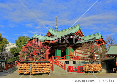 東京龜戶天神神社梅花節 72729133