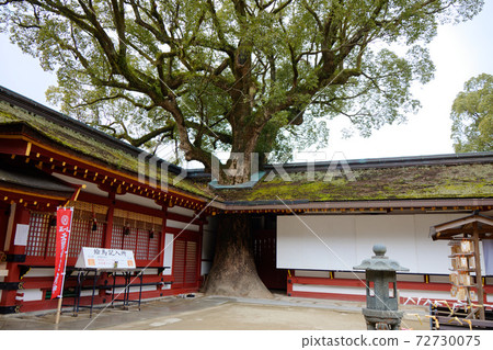 Okonogi Dazaifu Tenmangu Shrine 72730075
