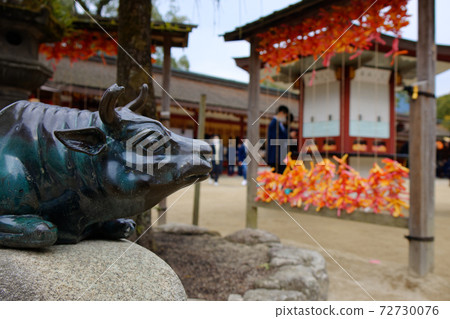 Goshingyu Dazaifu Tenmangu Shrine Goshingyu Dazaifu Tenmangu Shrine 72730076