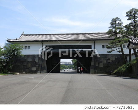 江戶城的櫻田門（沃德塔） 72730633