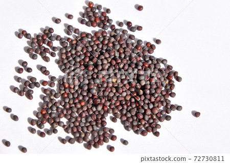 Komatsuna seeds Komatsuna seeds 72730811