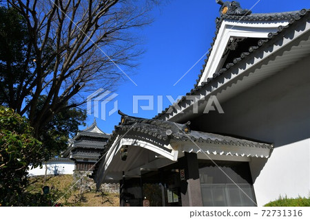 Nishio City History Park Honmaru Oda Tiger Oar 72731316