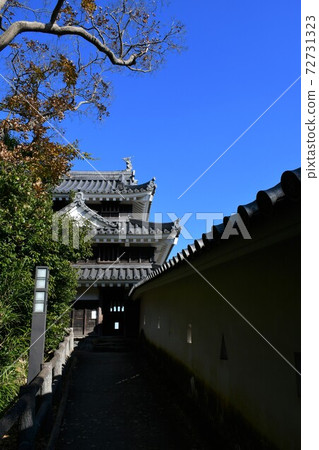 Nishio City History Park Honmaru Oda Tiger Oar 72731323