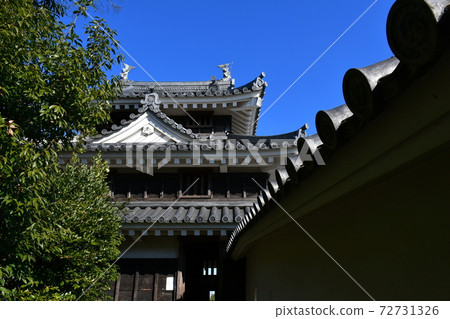 西尾市歷史公園Honmaru Oda Tiger Oar 西尾市歷史公園Honmaru Oda Tiger Oar 72731326