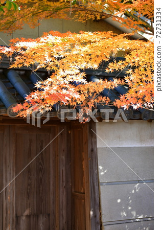 西尾市歷史公園Honmaru Oda Tiger Oar 72731334