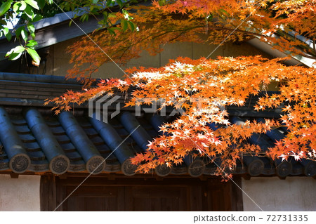 Nishio City History Park Honmaru Oda Tiger Oar Nishio City History Park Honmaru Oda Tiger Oar 72731335