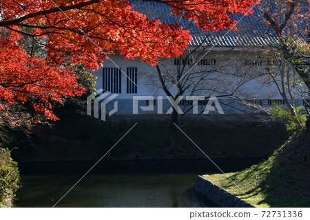 西尾市歷史公園Honmaru Oda Tiger Oar 西尾市歷史公園Honmaru Oda Tiger Oar 72731336