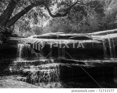 Beautiful water stream of waterfall with tropical tree and stone landscape. Beautiful water stream of waterfall with tropical tree and stone landscape. 72731577