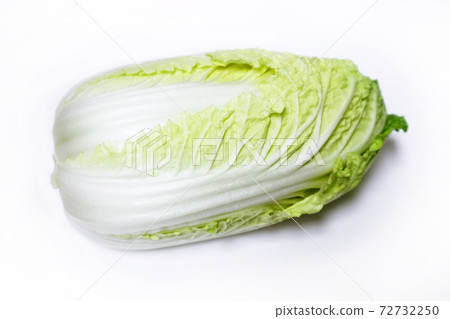 新鮮白菜成分 72732250