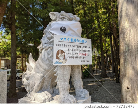 蒙面獅子狗 72732473