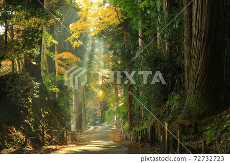 Chuson-ji Temple of World Heritage 72732723