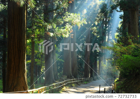 Chuson-ji Temple of World Heritage 72732733