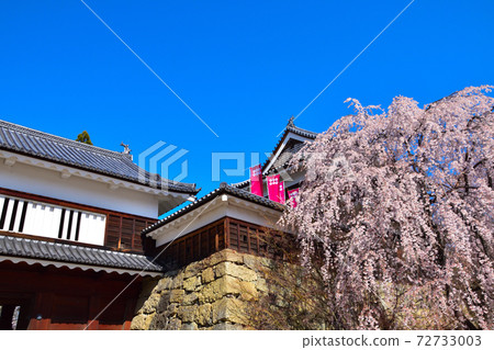 Sakura view Ueda castle 72733003