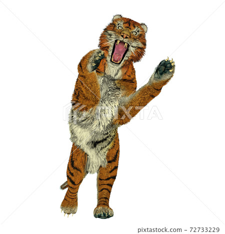 Tiger attacking - 3D render 72733229