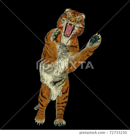 Tiger attacking 72733230