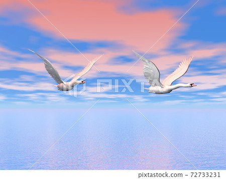 Swans flying - 3D render 72733231