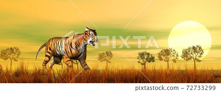 Tiger walking in the savannah - 3D render Tiger walking in the savannah - 3D render 72733299