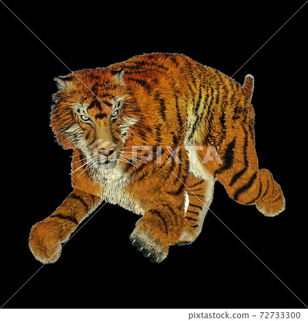 Tiger running 72733300