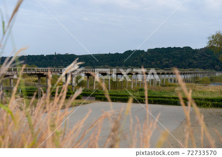 [Shizuoka Prefecture] Horai Bridge 72733570