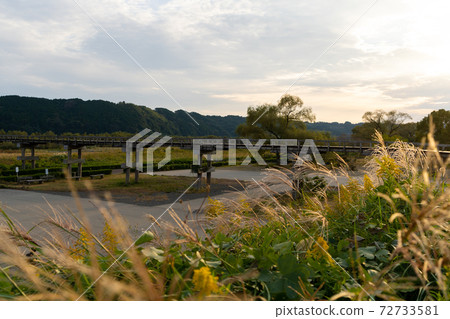 [Shizuoka Prefecture] Horai Bridge 72733581