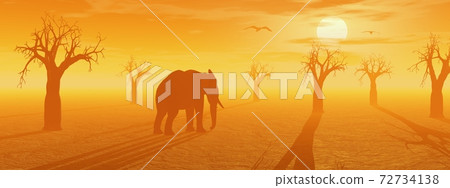 African savannah African savannah 72734138