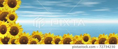 Blue ocean and sunflowers 72734230