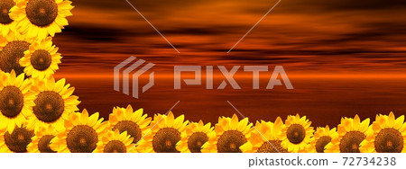 Red ocean and sunflowers Red ocean and sunflowers 72734238