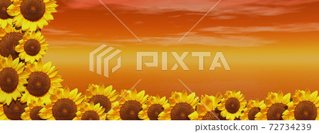 Red ocean and sunflowers 72734239
