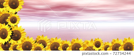 Pink ocean and sunflowers 72734244