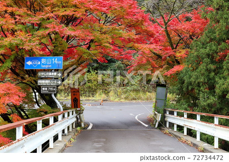 Okuiya Dochu Autumn Leaves (Higashiiya, Tokushima Prefecture) Okuiya Dochu Autumn Leaves (Higashiiya, Tokushima Prefecture) 72734472