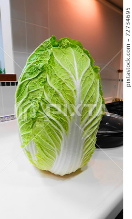 A splendid Chinese cabbage that stands up (the leading role in the winter pot!) Clear leaf veins Vertical position 3754 A splendid Chinese cabbage that stands up (the leading role in the winter pot!) Clear leaf veins Vertical position 3754 72734695
