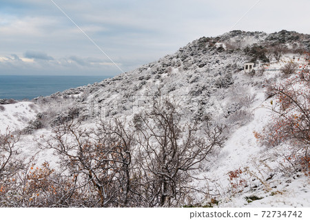 Winter time with snow trees and sea. Snowy cold landscape Winter time with snow trees and sea. Snowy cold landscape 72734742