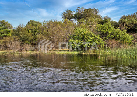 Wetlands Landscape, Okavango Wetlands, Okavango Delta, Botswana Wetlands Landscape, Okavango Wetlands, Okavango Delta, Botswana 72735551