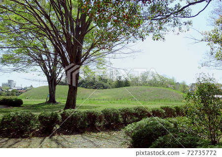 Maintained tile mound tumulus and plants / Sakitama tumulus park (Gyoda City, Saitama Prefecture) Maintained tile mound tumulus and plants / Sakitama tumulus park (Gyoda City, Saitama Prefecture) 72735772