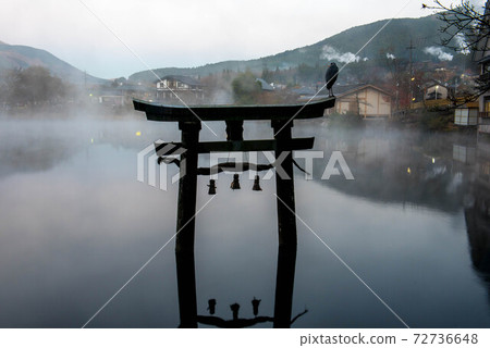金樂湖奇妙的早晨 金樂湖奇妙的早晨 72736648