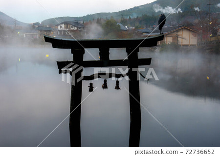 金樂湖奇妙的早晨 金樂湖奇妙的早晨 72736652