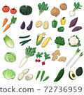 Vegetable illustration set 72736959