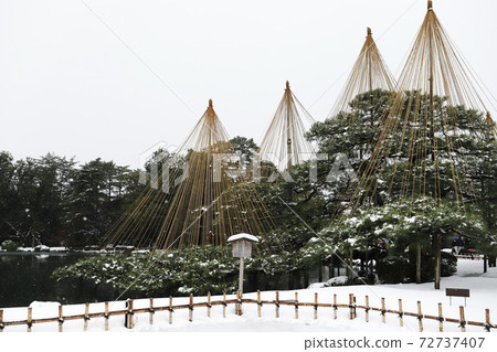 Snow Kenrokuen Karasaki Pine Tree Yukitsuri (Kanazawa City, Ishikawa Prefecture) 72737407