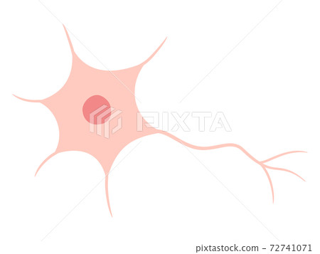 Illustration of cute neurons - Stock Illustration [72741071] - PIXTA