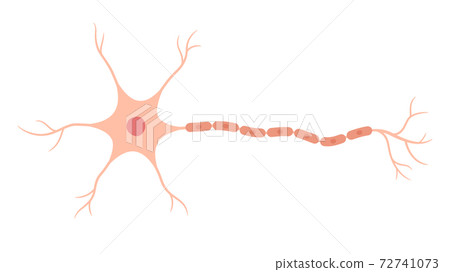 神經元的插圖 72741073