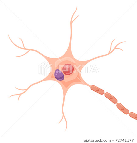 Illustration of neurons with Lewy bodies Illustration of neurons with Lewy bodies 72741177