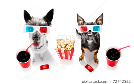 dog to the movies dog to the movies 72742522