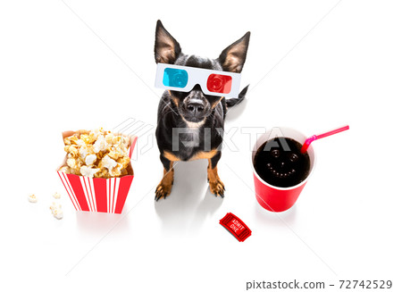 dog to the movies dog to the movies 72742529