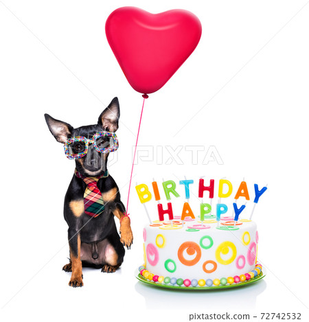 happy birthday dog happy birthday dog 72742532