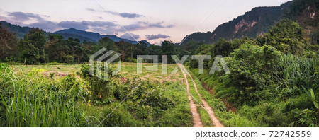 Green Thai landscape of Khao Sok National Park Green Thai landscape of Khao Sok National Park 72742559