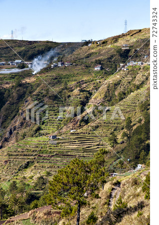 菲律賓呂宋島山區的階梯田 菲律賓呂宋島山區的階梯田 72743324